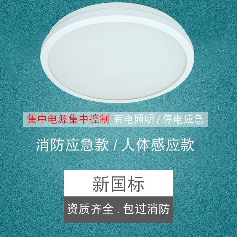 振辉36V低压智能吸顶灯LED过道走廊灯具楼梯灯雷ZF-ZFJC-E7W-8332