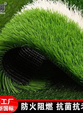 襄景足球场运动草坪CMM地毯动场皮橄榄假球场人造草仿真运草坪垫