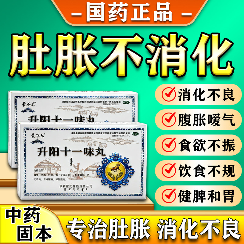 【阜药】升阳十一味丸(那仁满都拉)0.2g*60粒/盒(每10粒重2g)