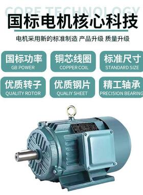 YE3/6380v全极铜国标三相步电0.55机GKA-7.5kw立卧异式小型振动电