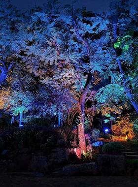 TRIAC可控硅l聚投光灯外墙投光防灯ed64047户外水景观文旅彩光灯