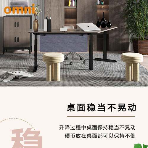 奥丽双电机动电升降桌升降办公桌交站坐替办OM.ET.23美公家具厂家