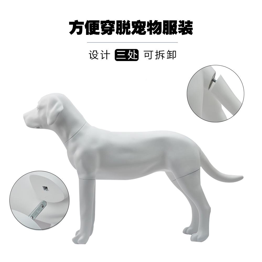 宠物展架店铺服装模33170型摄影道具厅家居摆客件拍摄狗示模特陈