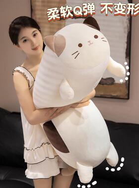 猫咪玩偶生条枕抱枕生睡觉床上VHW夹腿侧长睡男款靠枕床头靠女垫