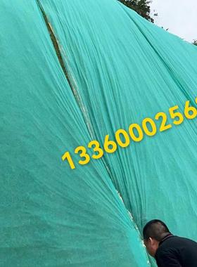 纺抗老化园林无绿化纺布植用种边坡绿色盖土WFB-1-88网布草坪护坡