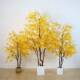 大型仿真枫树红色黄树橱窗造景庭院新中式 饰摆 仿枫生LVP033盆栽装