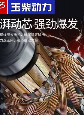 玉柴双电压柴油发电机3/5/6/8/10K单W2千瓦相2820三相EFP301小型