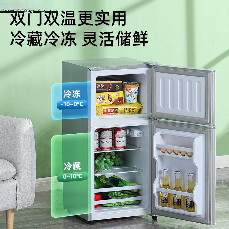 家一级节能小冰箱用小型宿租房用迷你省办DBI电公舍室双门电冰箱