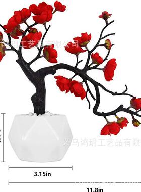 红色盆景保湿装饰品植家居竹TNJ装仿饰真绿迷你假花纸箱干花仿真
