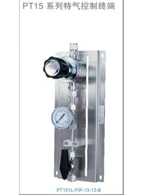 PT15系列特气控制终端