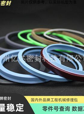 凯斯CX铲40476CX470CX490CX500挖掘机大中小臂斗油缸油封修6理包