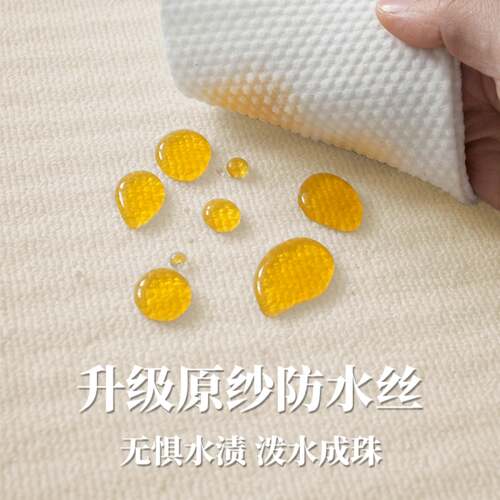 地毯客简约素色厅免打理20水25新款卧室奶油风防地积垫水可擦厚大
