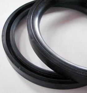 油缸件专用密封YXDYxd格莱圈斯特封架丁青J型无141骨油封