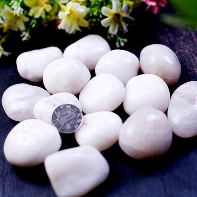 黄高抛光雨石厂家花林景观园鹅卵231石色水洗原石造景盆栽铺路小