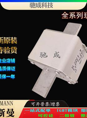 巴M斯曼170170M6317M6317货170638170M6325厂家供销售1特种保险丝