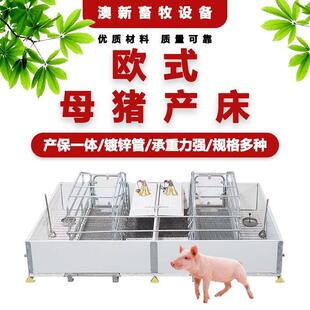 欧式双体单体PVC围板分娩保育一体式产床保育床两用母猪产床食槽