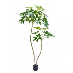 仿真保罗大叶伞家居客厅绿植落地盆栽室内卧室盆栽简约装饰摆件