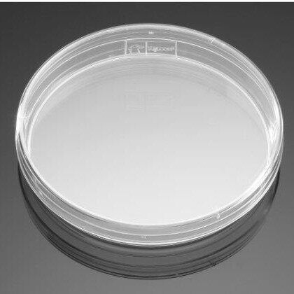 50x9mm未经过TC处理的密闭盖式细菌培养皿20个/包500个/箱