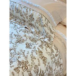 x式F77JM6TTyt法100支长棉四件套公主双风雪纺花边被套全棉人1.8m