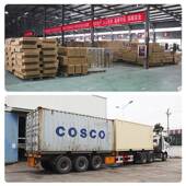 纳瓦拉790锐骐 7D22p11NP300专架皮卡车龙门防6翻备胎架带灯用防