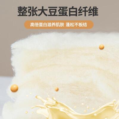 a类大豆子母被二合一拉链加厚款保暖冬被春夏被秋子被芯zcx-TM宿