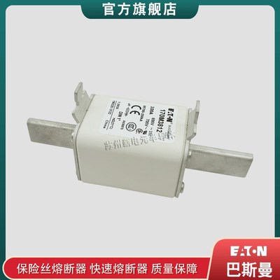 美国巴斯曼170M3811  170M3811D 170M3812 170M3812D熔断器保险丝