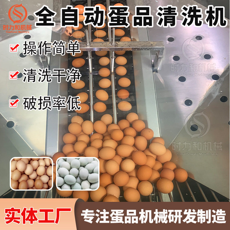 厂家供应三排清洗洗蛋机全自动大型鸡鸭蛋机流水线省6倍人工出口