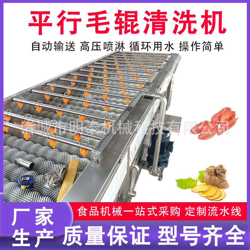 生蚝海蛎子平行毛辊清洗机橘子冰糖橙洗果机大姜红薯清洗设备
