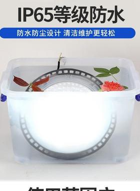 高光效LEDW工矿灯大率DBH50W-200照明工业厂超房仓功储飞碟节能省