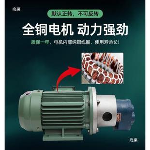 B泵10 高压电动齿式 B2VYG.5 B125自吸油抽泵增压泵齿轮 轮油CB