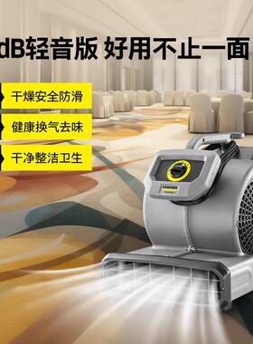 KARCHR机德国卡赫面吹E干机大功率879商用鼓风除湿机地吹风机AB28