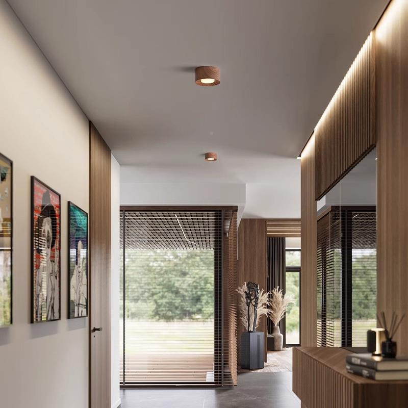 关IOO全光谱护斗胆灯装筒灯双头无主灯客厅照明入明户玄眼走廊过