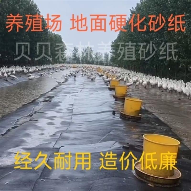 砂纸地垫养殖场防雨屋顶补漏