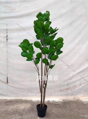 仿真发软财金钱兜假树室内树落办地园林景观工程装修装摆件LPU公