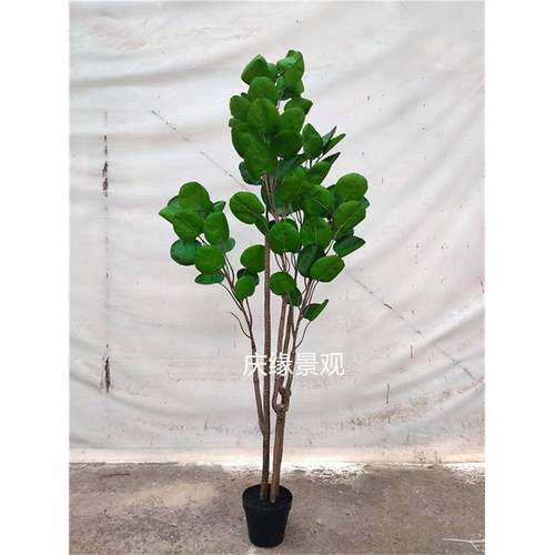 仿真发软财金钱兜假树室内树落办地园林景观工程装修装摆件LPU公