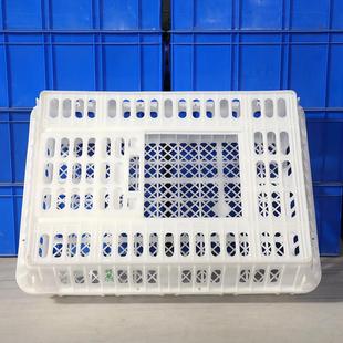 生产周转筐禽塑鸭鸡鸭运输笼鸡笼笼家用活透气笼子塑DSZ料筐料周