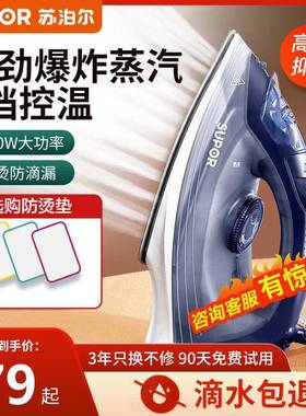 电专熨斗家IXT用小型烫蒸汽熨机烫斗手衣服裁缝店持老式业