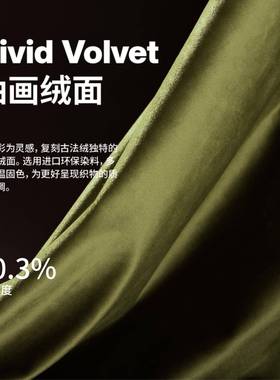 ISK5辑/35橄榄绿墨绿色丝绒窗帘轻奢复古202年新款6客厅卧740室遮
