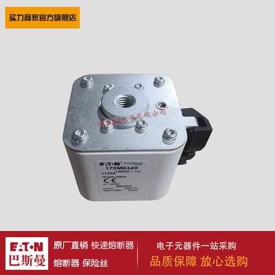 熔断器170M6364 170M6365 170M6366 170M6367 170M6368 170M6426