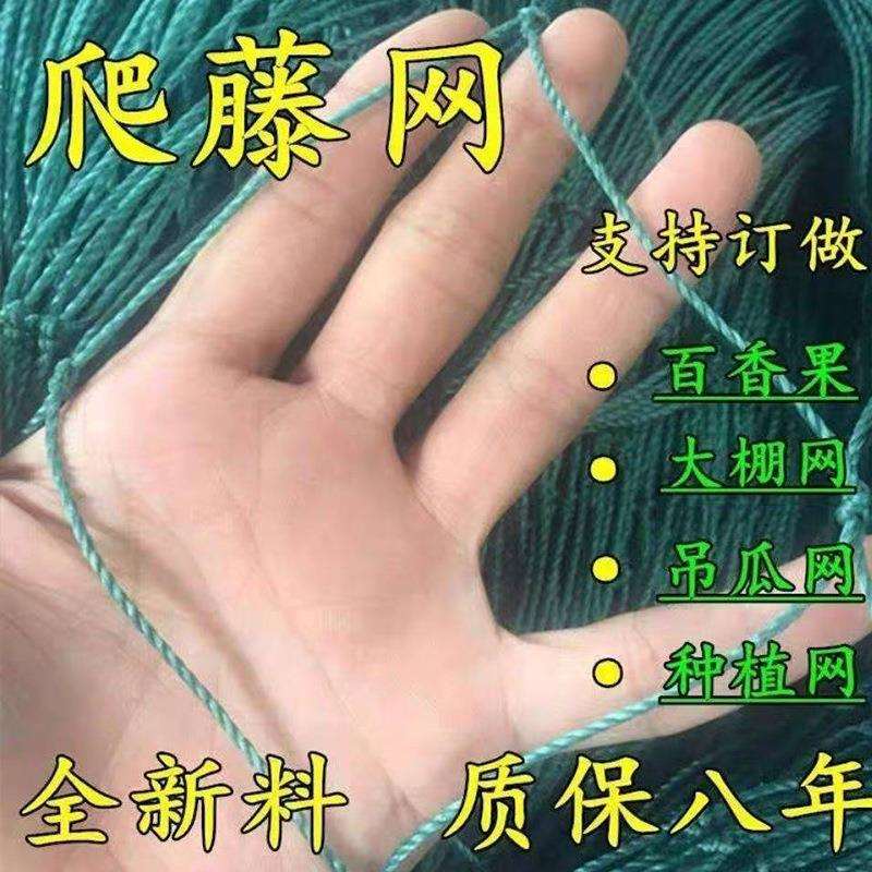 爬藤网加粗瓜果蔬菜种植攀爬网花卉藤蔓攀援网园艺农用网庭院搭架