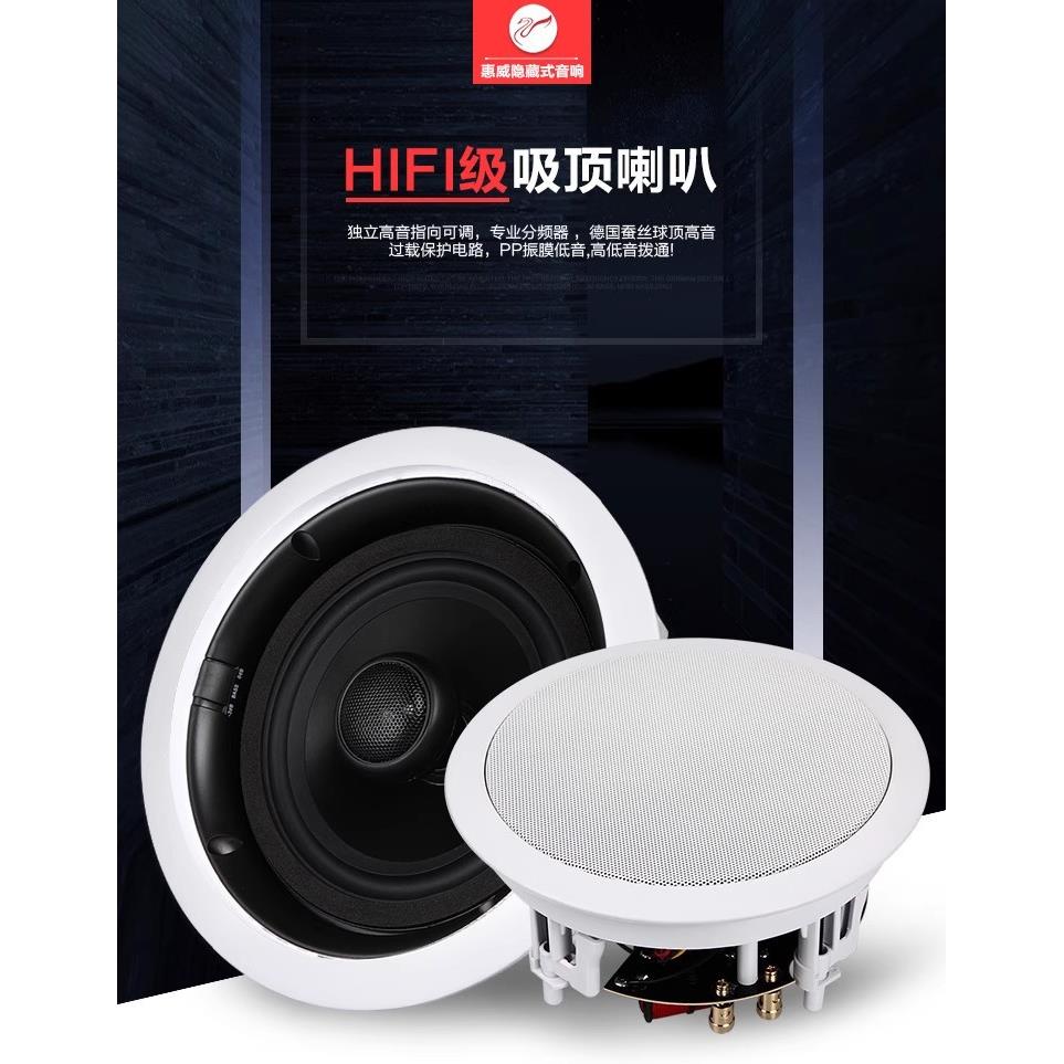 Hivi/惠威VX6-C吸顶喇叭背景音乐同轴音箱会议天花吊顶音响套装5