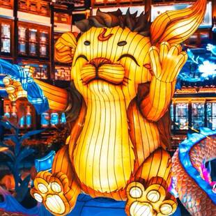 2025龙年户外景区会不城动物型花NOJ灯中秋灯夜庙会中式灯笼造摆