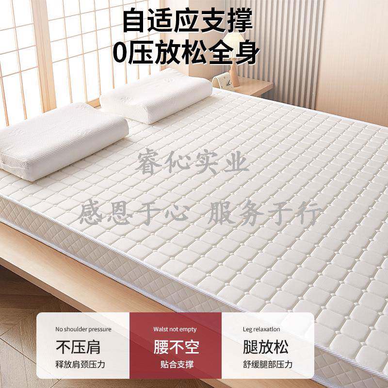 胶床垫家用乳卧室席梦思榻RUIXINMC米褥记忆海绵被铺底租房硬软垫