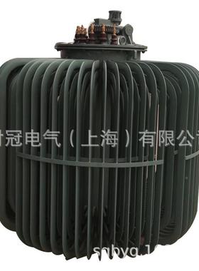 变节压调器200KVA三相油浸式自感应电压调器电压0-整65TDJA-20K0V