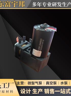 厂家微型活气泵塞真空压泵正负通用抽气打无刷电机款直流TJZ真空