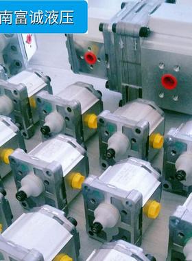 丹佛斯斯双联泵主泵SN3NNPHYN/026WRN01BLNNC7C7NNN/NNNNN丹佛齿