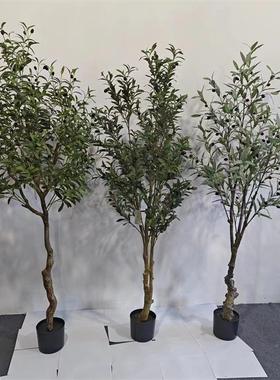 真散龙血发财树橄榄树尾葵绿植树组合家居客厅商场RKT仿店铺装饰