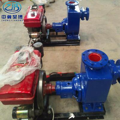 昊博水泵100ZW-自80-0QWT自吸式排污泵6可大抽吸颗粒吸泵增压泵