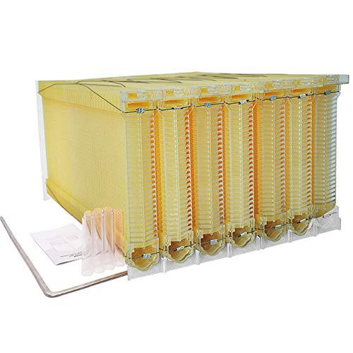 出口型热销蜂具7PCS自流蜜巢础蜂脾自流蜜蜂箱自动取蜜塑料巢础