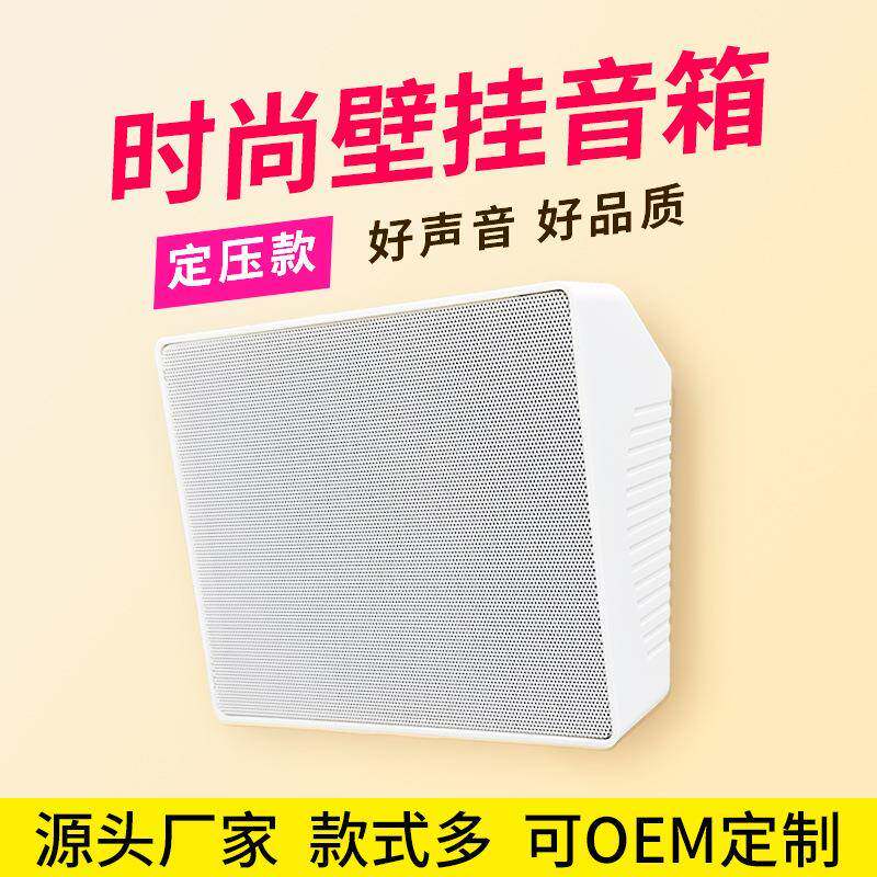 壁挂音箱惠威款定压壁挂音箱校园公共广播背景音乐壁挂喇叭